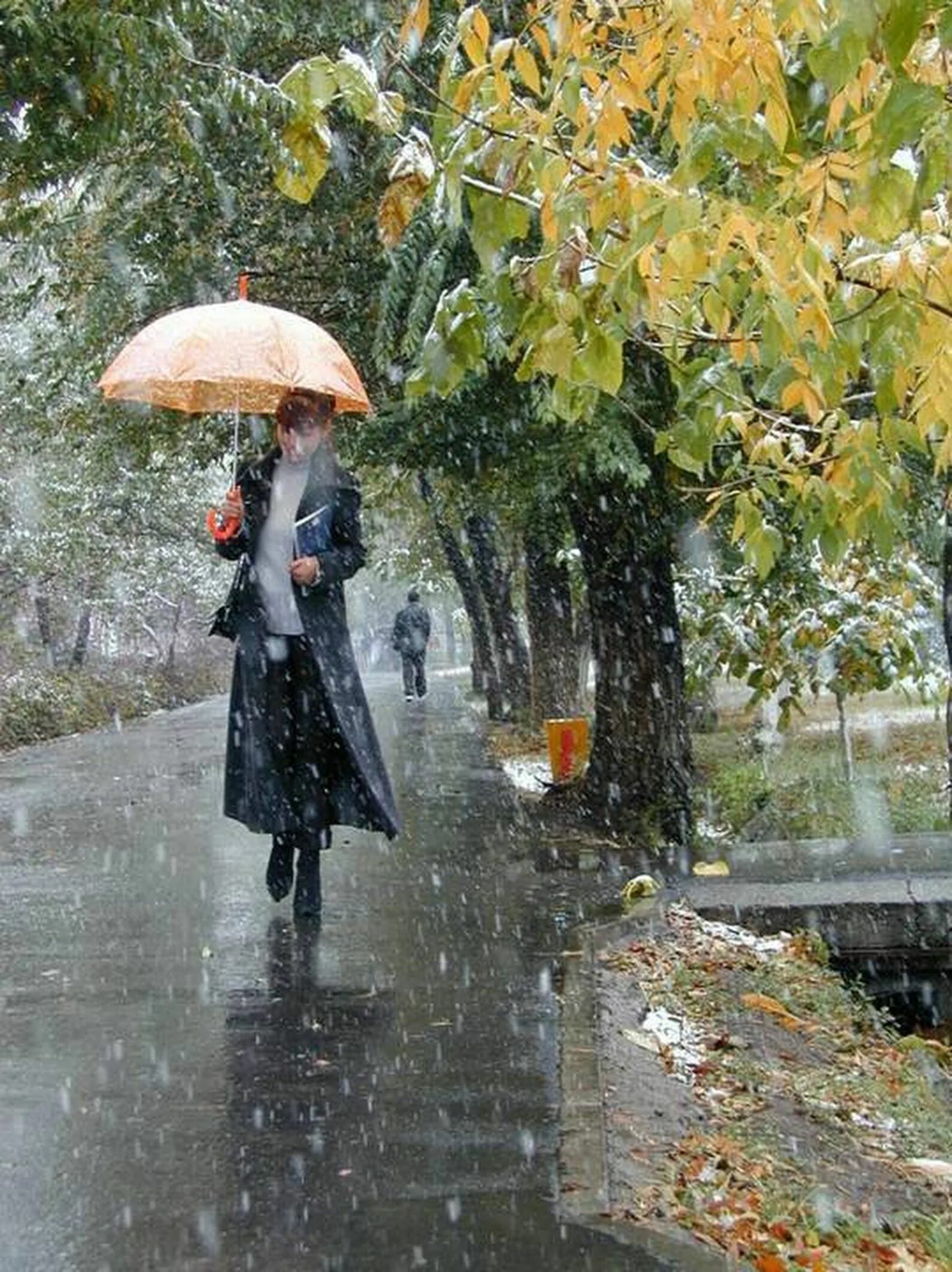 Дождь со снегом снег с дождем. Дождливая осень. Сильный ветер и дождь. Осенний ливень. Мокрый снег с дождем.