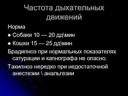 Дыхание 24 в минуту