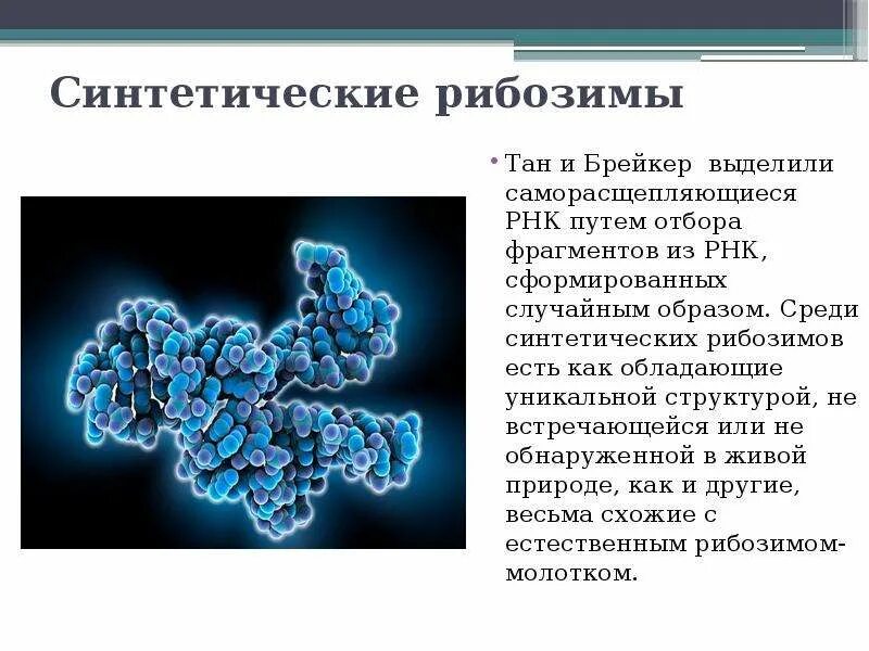 Структура рнк. Матричная рнк. Структура транспортной рнк. Синтетическая рнк. Рнк.