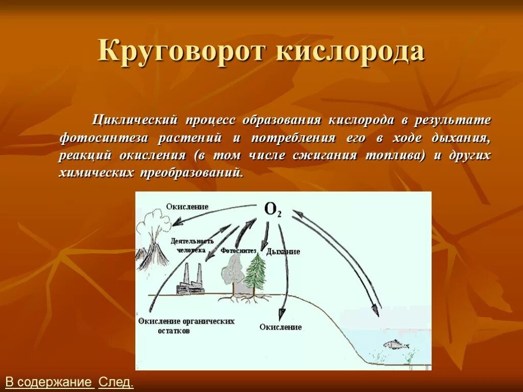 Круговорот кислорода процессы