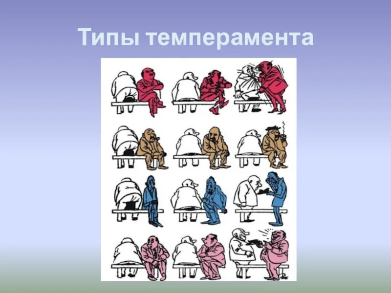 Холерик 4 типа темперамента. Холерик 4 типа темперамента