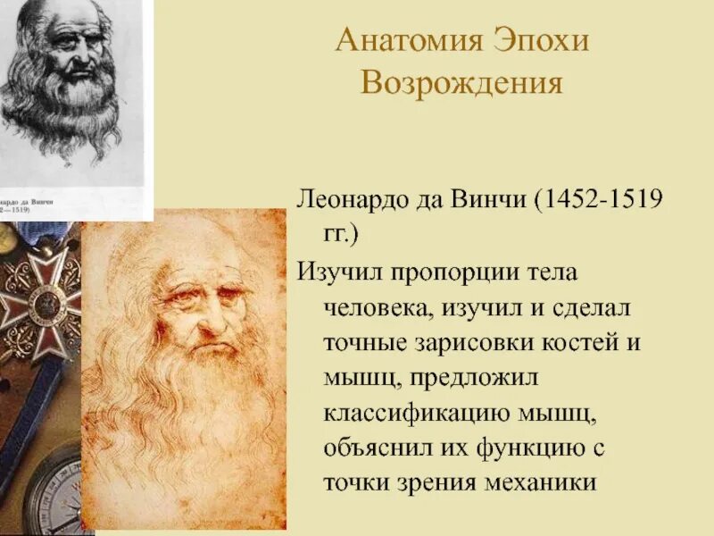 Анатом эпохи возрождения изучавший строение репродуктивной системы. Человек эпохи возрождения леонардо да винчи. эпоха возрождения медицины леонардо да винчи. анатомия эпохи возрождения: леонардо-да-винчи, андрей везалий.. заслуги леонардо да винчи в биологии.