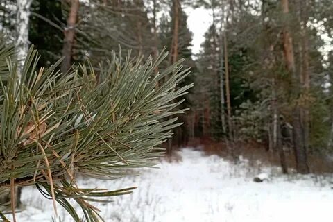 Погода в ноябре в хакасии