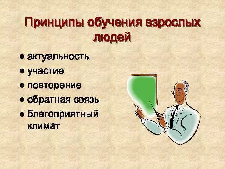 Организация образования взрослых. Принципы обучения взрослых. Принципы образования взрослых. Методы обучения взрослых людей. Особенности обучения взрослых.