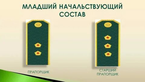 Специальные звания в таможенных органах