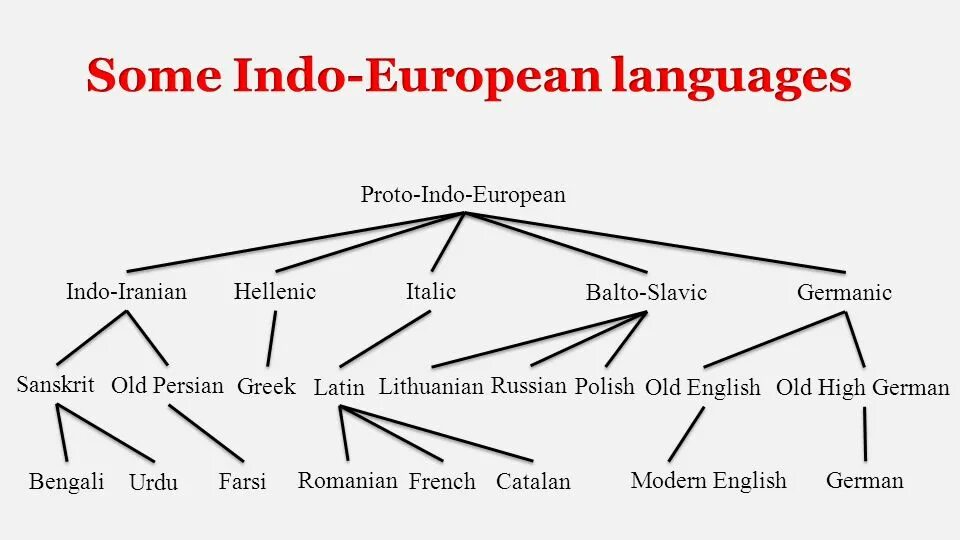 Name of my language. Indo european languages tree. the indo-european language branch. proto indo european language. indo european language family.