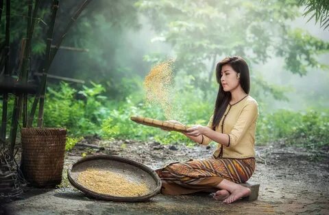 Girl Checking Rice, Activity, Beauty, Check, Girl, HQ Photo. 