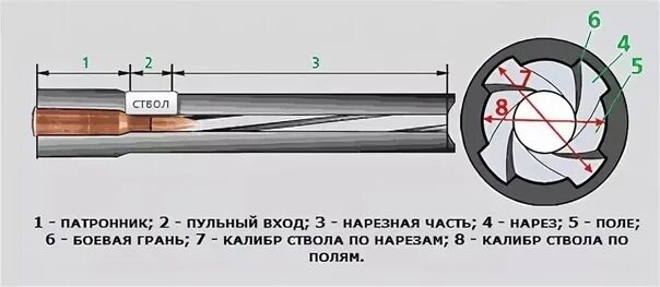 Алька сидел на изгибе ствола. ПМ чертеж нарезов ствола. Нарезной ствол 12 калибра. Развертка патронника 5.6. Патронник 20 Калибр.