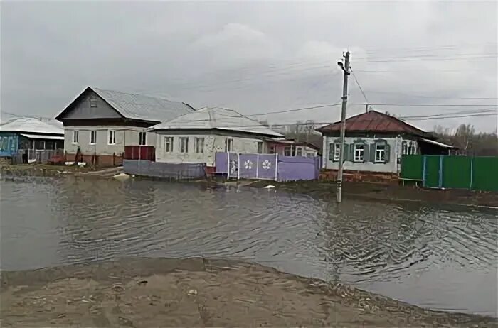 Село рожнев лог