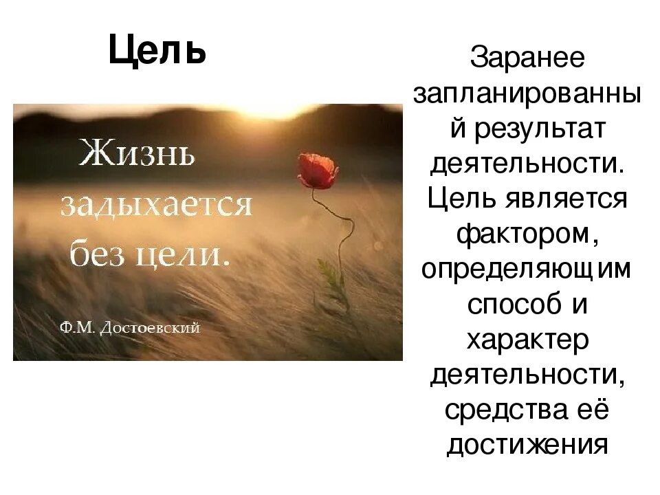 Написать цель жизни. Цель в жизни. Цели в жизни человека. Жизнь цели в жизни. Цель в жизни это определение.