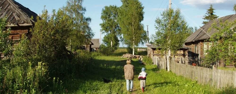 Деревня Борок Вашкинского района Вологодской области