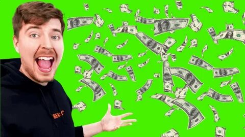 Мистер бист дом за 1 доллар