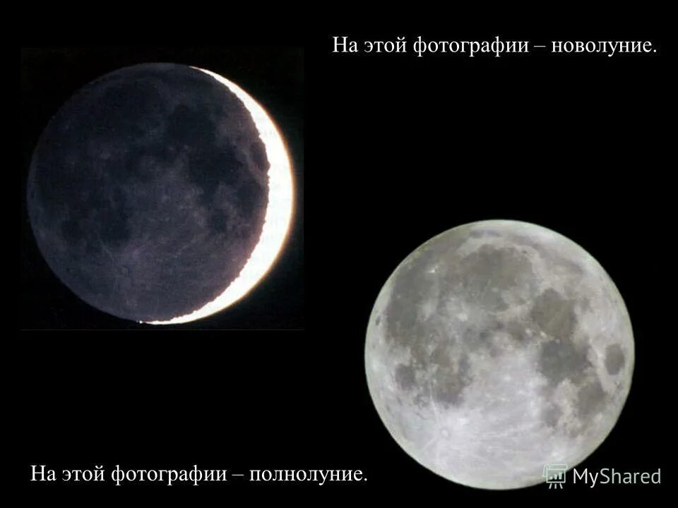 Убывающая луна. 04. Стадии луны. Новолуние растущая луна полнолуние и убывающая. Фазы луны.