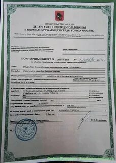 Срок порубочного билета