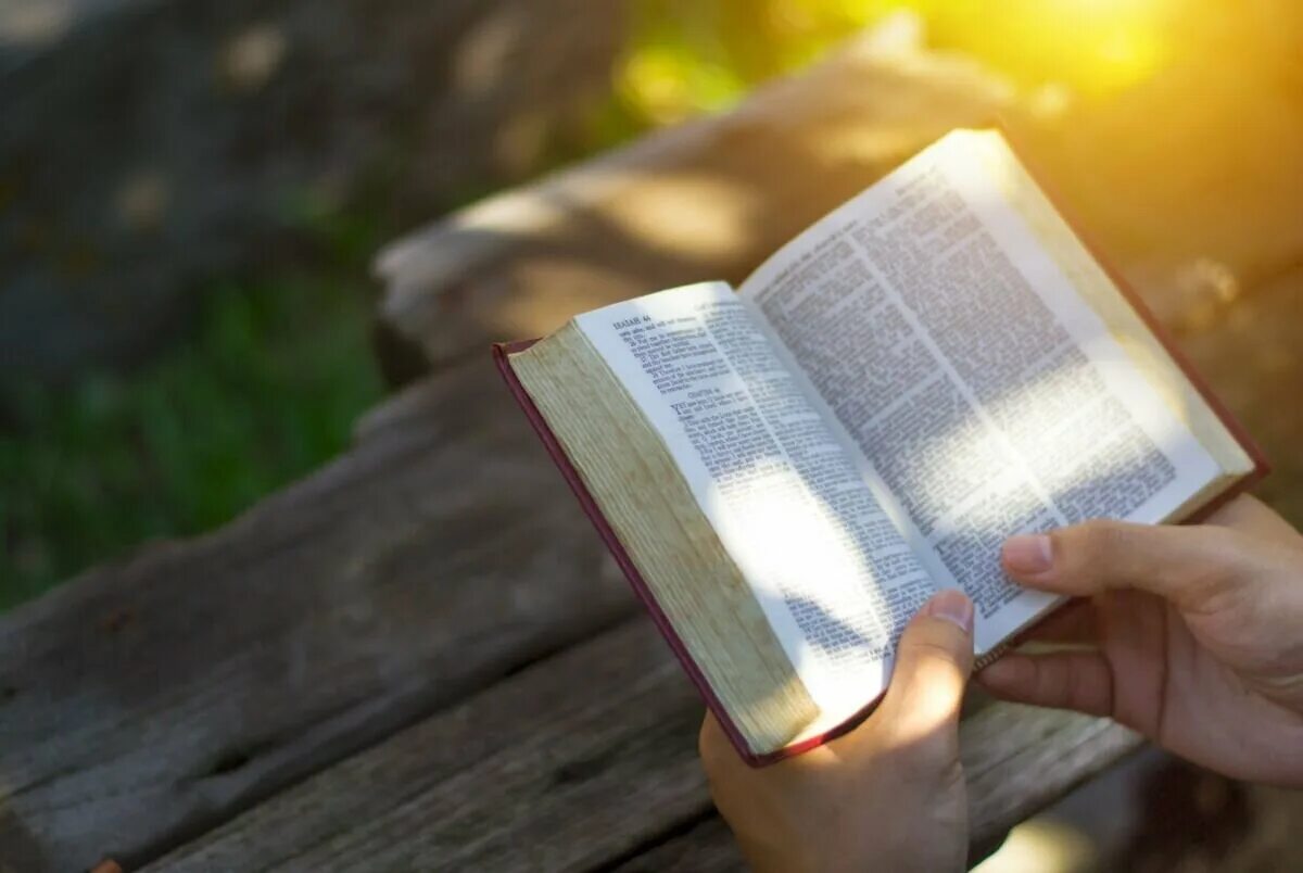 Читать люди истины. Открытая Библия. Раскрытая Библия. Чтение Библии на природе. Раскрытая Библия в руках.