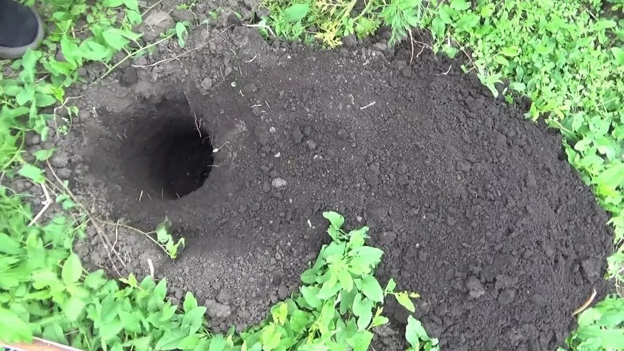 Кротовые норы на участке фото Как избавится от кротов и землероек на участке Обсуждение статьи