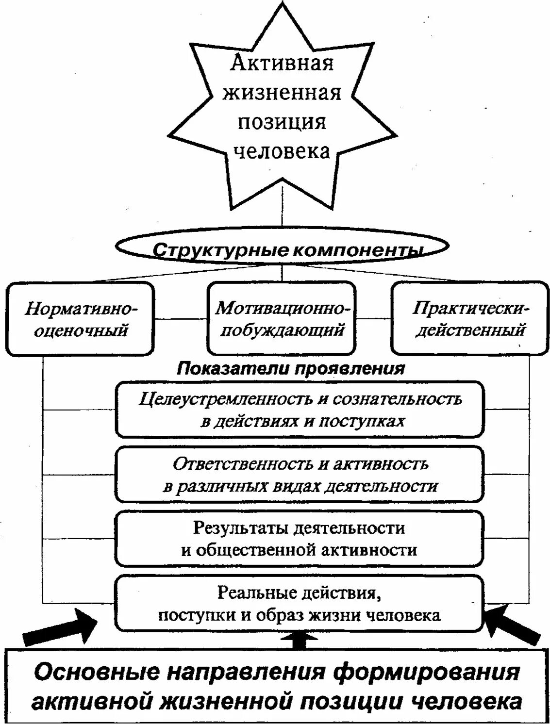 Проявления жизненной позиции