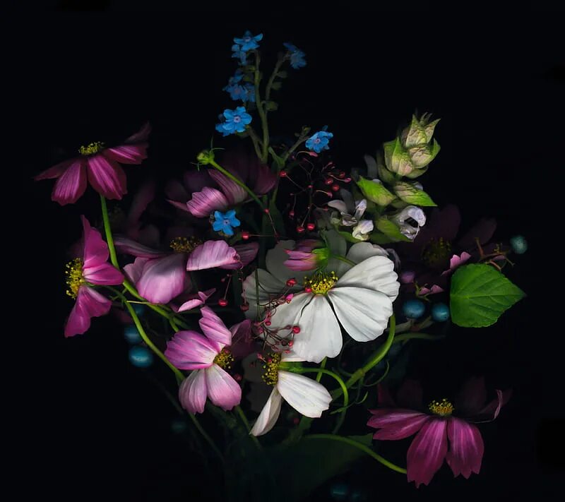 The dark flower
