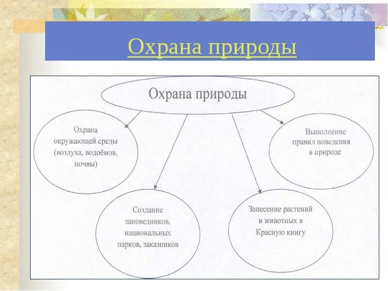 Охрана природы схема. Формы охраны природы. Способы охраны природы. Формы охраны природы таблица. Методы охрана природы