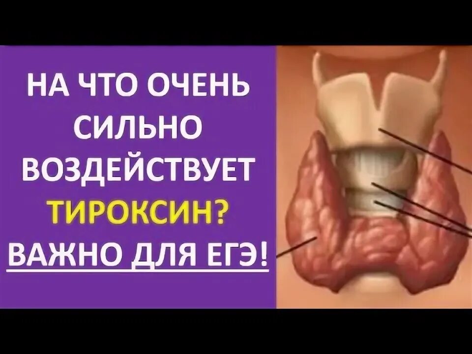 Почему природа так сильно воздействует на героев