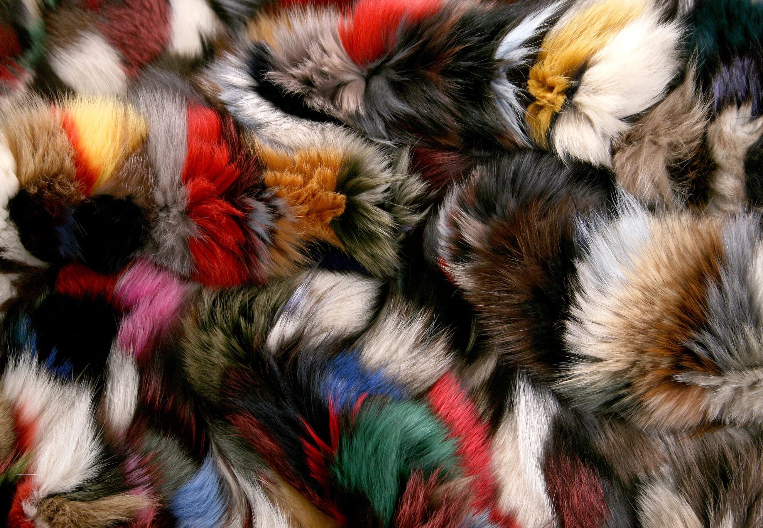 Мех норки. Норка цвет животного. Мех кор. Мех кор. Куртка с меховым жилетом женская.