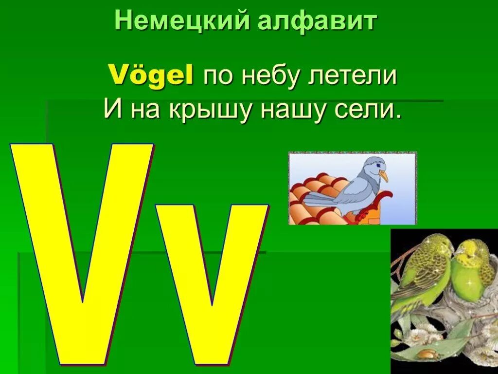 Немецкие буквы 2 класс. Немецкий алфавит. буквы немецкого алфавита. немецкий алфавит презентация. буква v на немецкой.