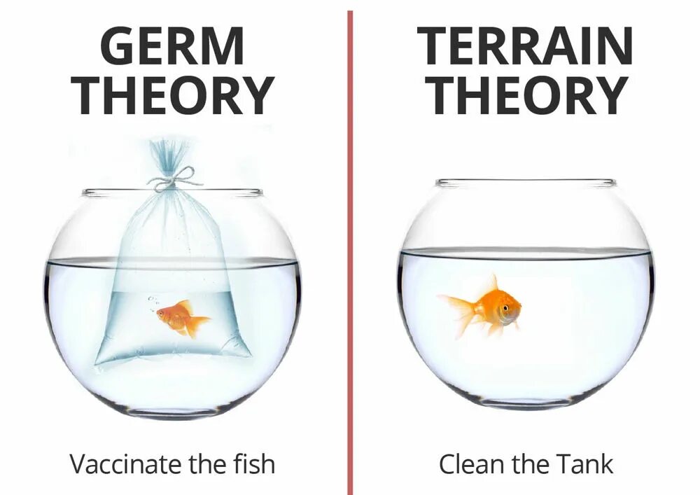 Germ theory. L m a germ.