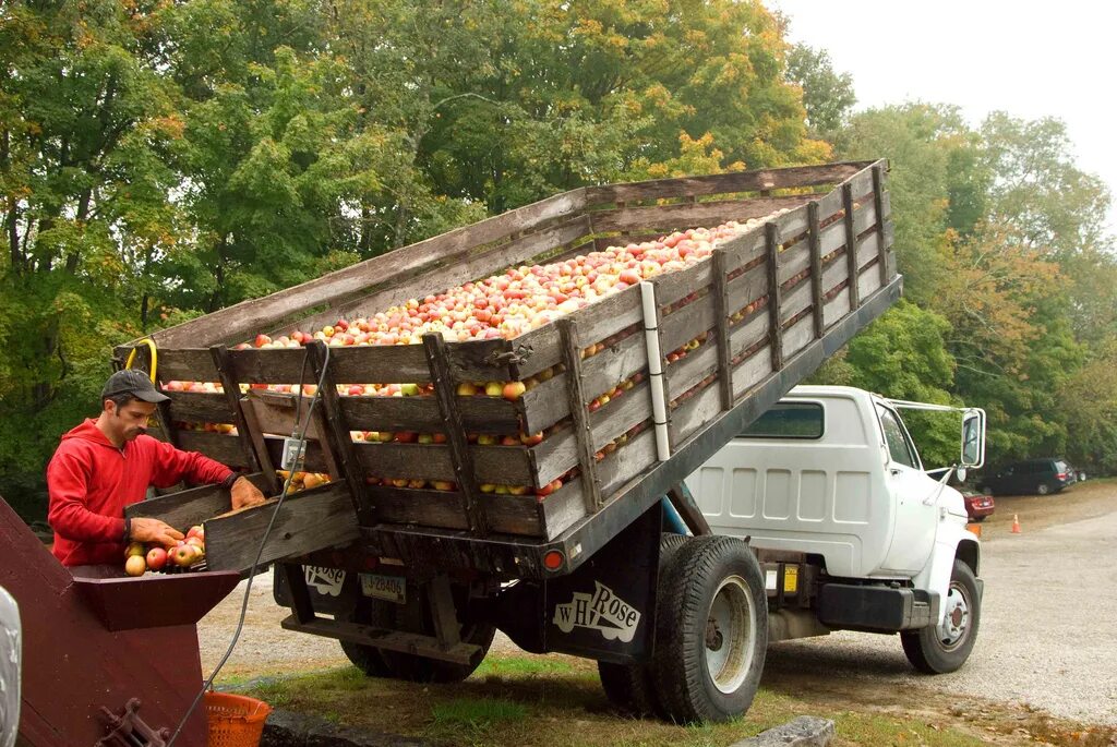 Машина для перевозки овощей. Машина для сбора урожая. Транспортировка фруктов. Автомобиль для перевозки фруктов.