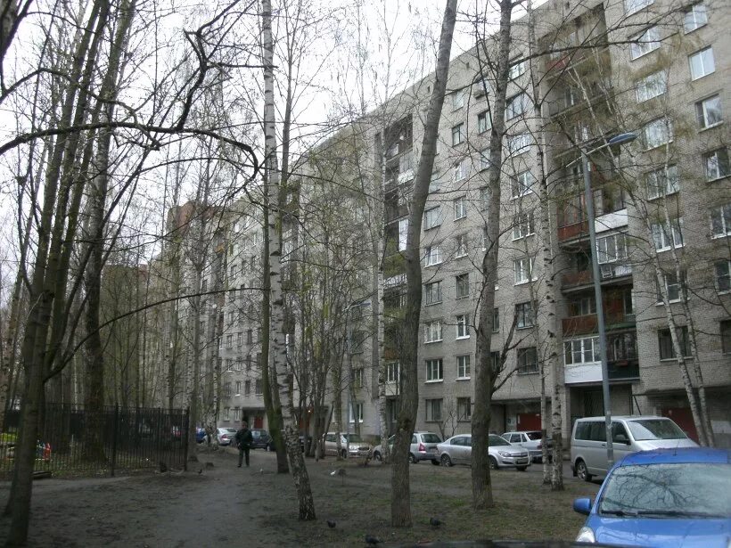 руставели 60. руставели 14 пик. санкт-петербург, ул. улица руставели 58к1. руставели, 13/12к1.