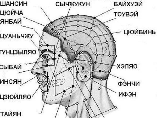 Болезненные точки на голове. Точечный массаж схема головы. Акупунктурные точки головы схема.