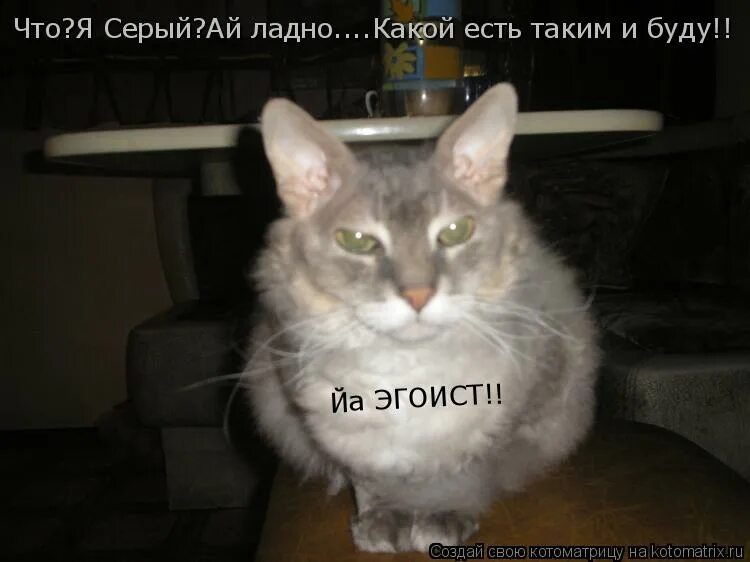 вероника тони старка. мем да ладно я все решу. да ладно якубович. ладно ясно понятно. ладно поверю.