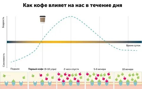 Время их действия использовать
