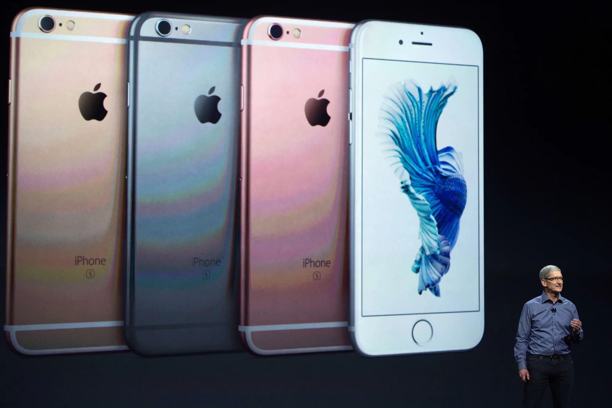 Iphone 6s год. Образ компании apple. шедевры эппл. витрина iphone. iphone 12 на витрине.