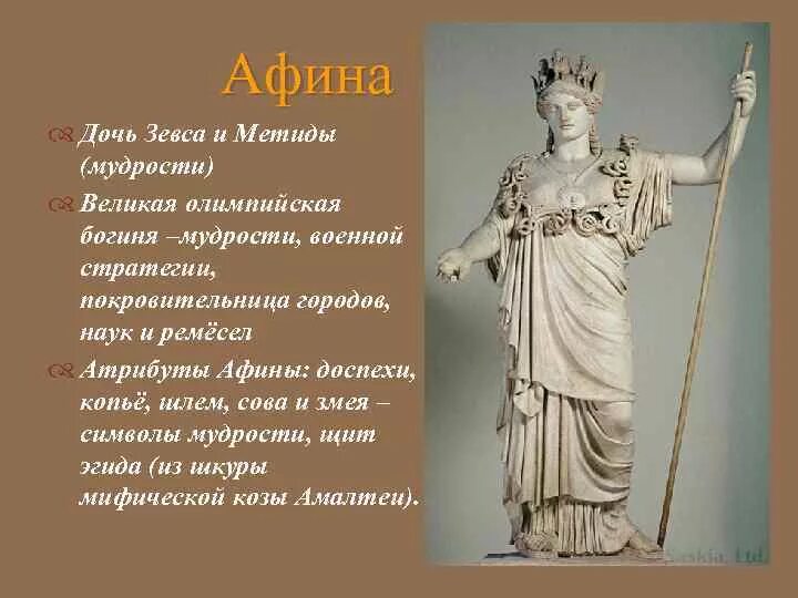 Атрибуты богини афины. Афина дочь зевса. афина богиня дочь зевса. древнегреческая покровительница афина. атрибут бога афины.