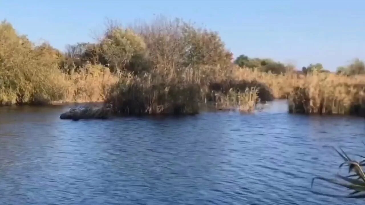 Краснодарский край динской район украинское. Примаки Динской район. Посёлок Кочетинский Динской район. Климат Динского района. Динская Кочетинская 50 панорама.