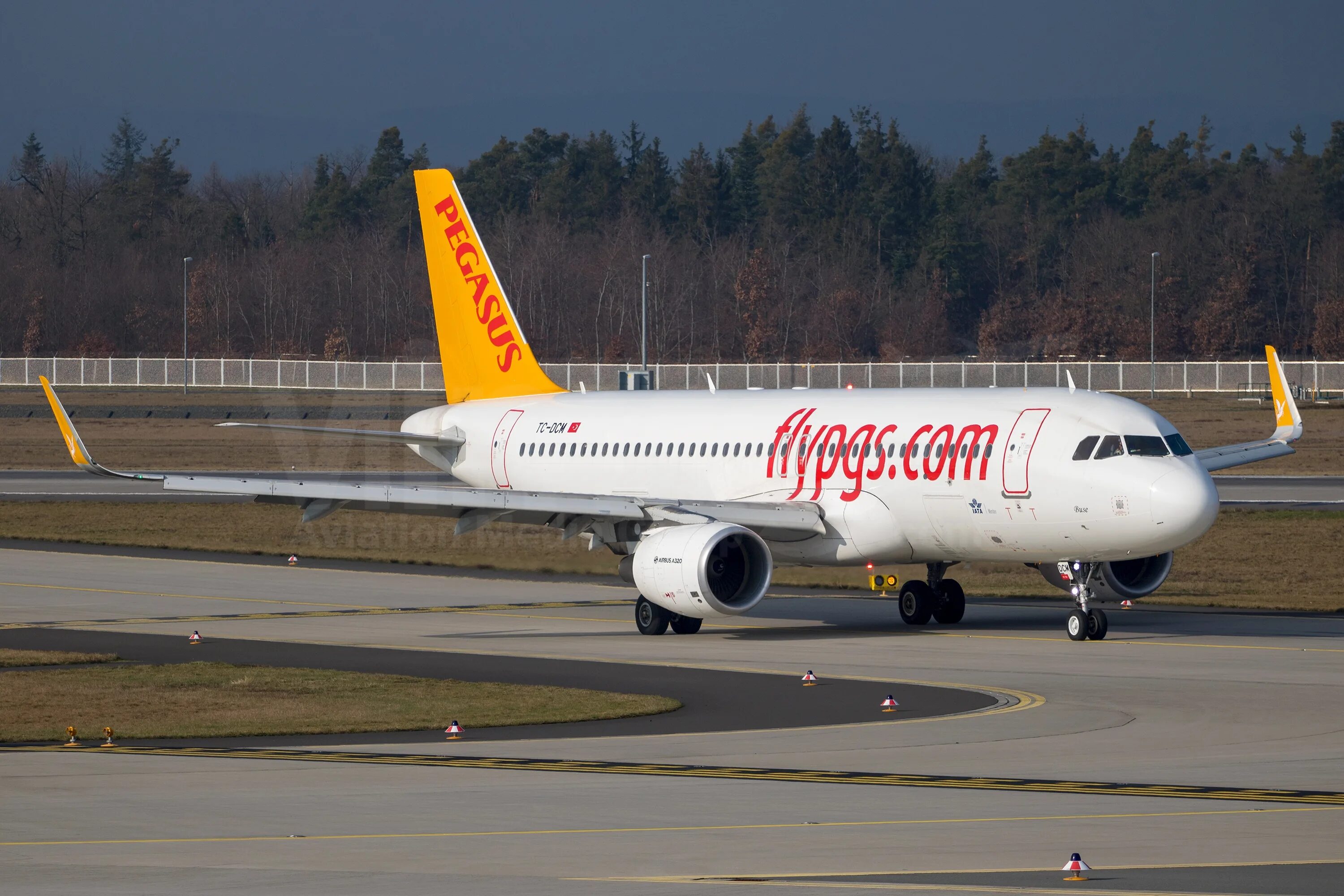 Pegasus авиакомпания сайт. Pegasus Airlines Airbus-320. А321 Пегасус. Авиакомпания Пегасус Эйрлайнс. Аэробус а320 Пегасус.