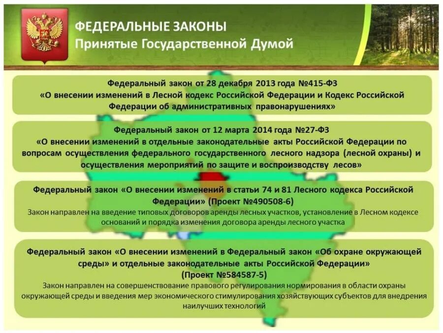 3 фз изменения лесного кодекса. Ведения лесного кадастра. принципы ведения лесного кадастра. обязанности лесных участков. цели и задачи ведения лесного кадастра.