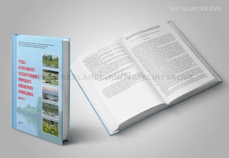 Как сделать верстку книги
