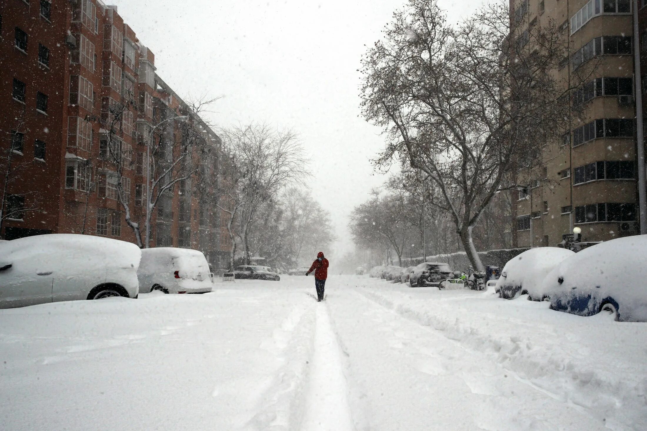 Snowfall на русском. Почему в Мадриде не было снега.