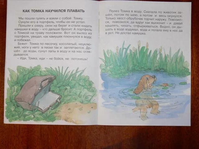 Как томка научился. Рассказ чарушина как томка научился плавать. чарушин как томка научился плавать иллюстрации. рассказ как томка научился плавать. рисунок как томка научился плавать.