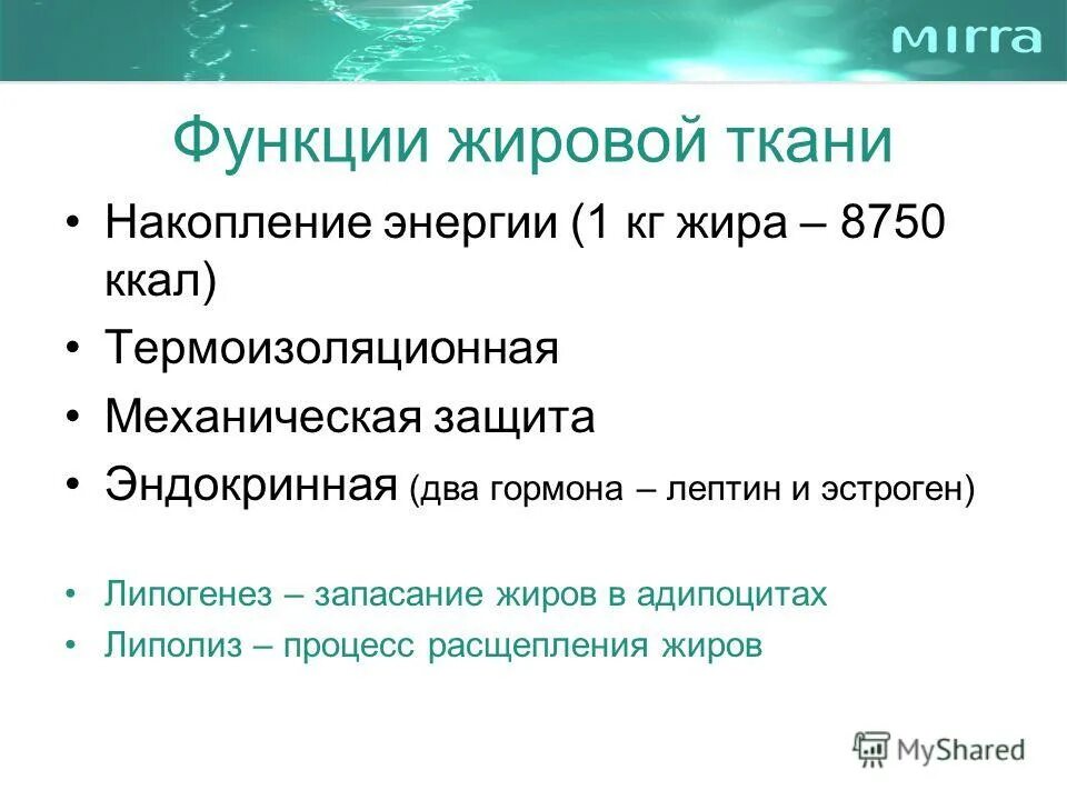 Функции жировой ткани. Функции жировой ткани животных. Функции белого жира. Выполняемые функции жировой ткани. Выполняемые функции жировой ткани.