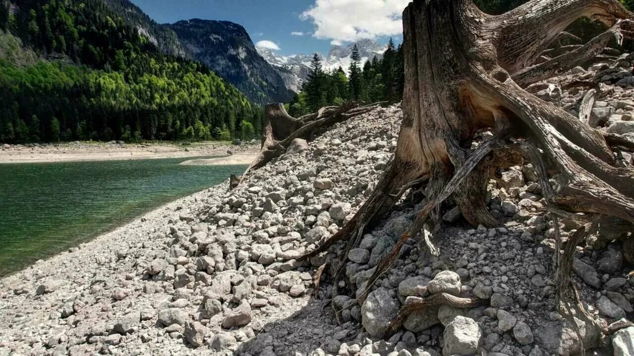 Горы камни лес. Река шотовер в новой зеландии. Каменный ручей белокуриха. Река убин. Камни валуны берег река ручей.