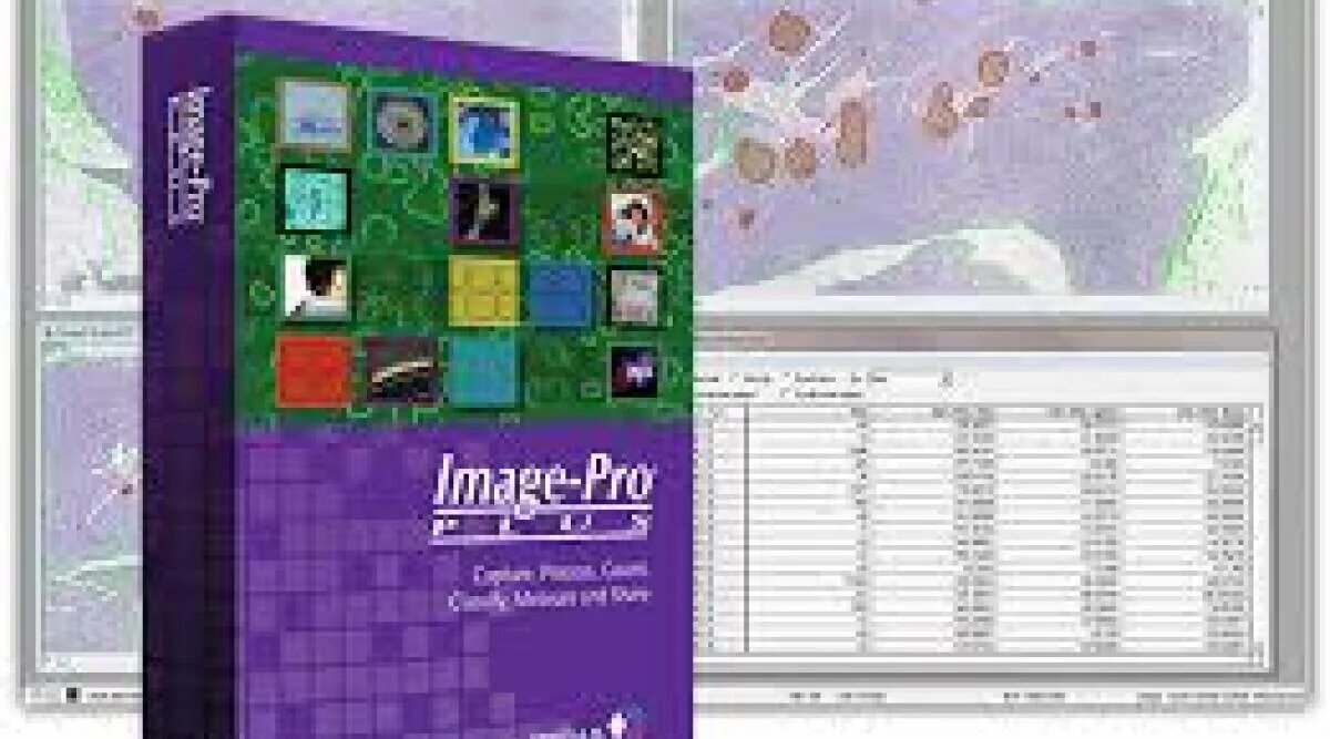 Приложение pro plus. Image pro программа. image pro интерфейс. image pro plus 7. image analysis software.