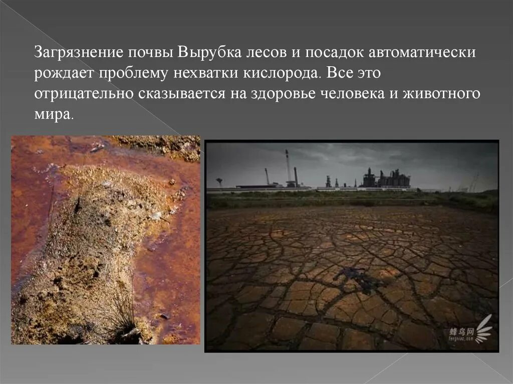 Выберите из списка что наносит вред почве. Биологическое загрязнение почвы. вырубка лесов и загрязнение почвы. загрязнение почвенного покрова. как вредит почве вырубка лесов.