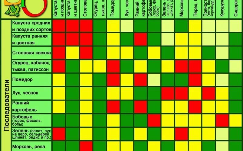 Южное соседство. Севооборот и соседство овощей на грядках. Совместимые посадки. Совместимость растений на грядке. Совместимость овощных культур.