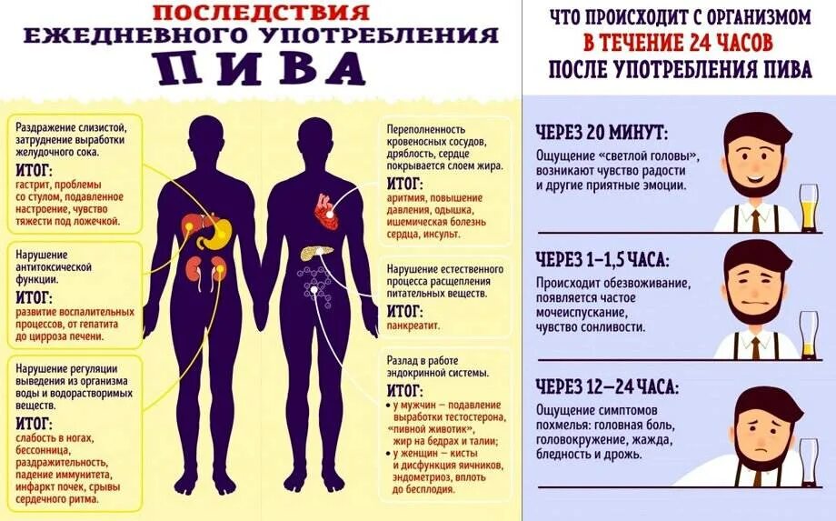 В течение какого времени после