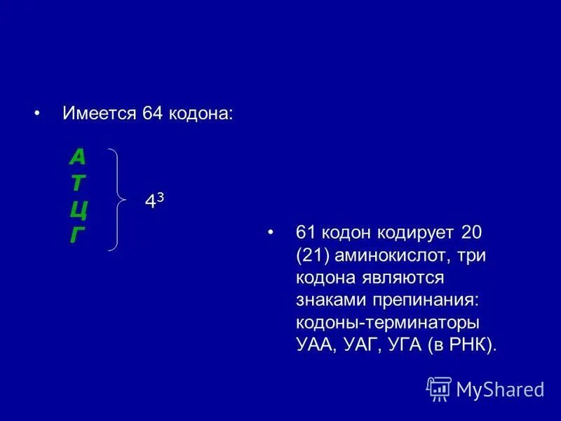 Какую аминокислоту кодирует старт кодон. Кодон. кодон это в биологии. терминирующие кодоны. кодоны терминаторы.