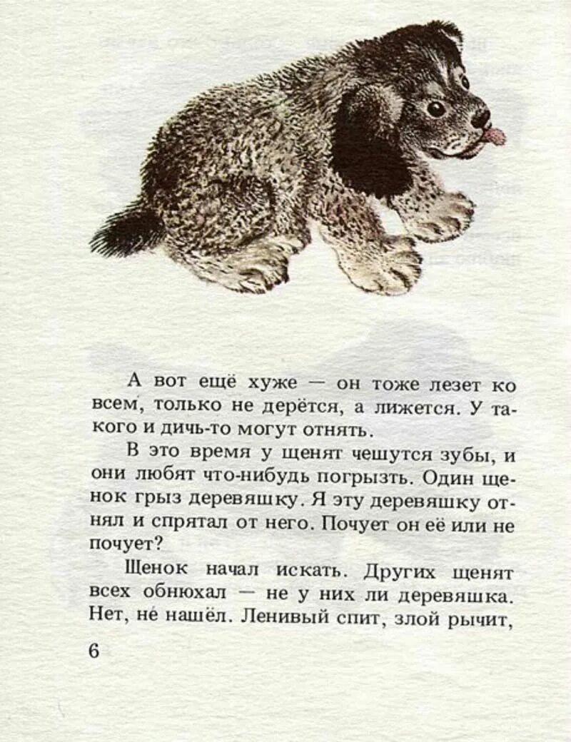 Рассказ про Томку Чарушин текст. Чарушин рассказы про Томку. Чарушин про Томку. Томка читательского дневника