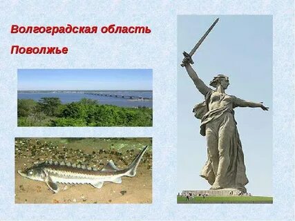 Проект волгоградская область