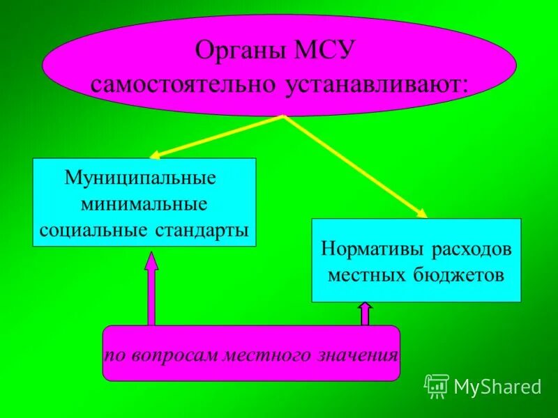 Местное самоуправление самостоятельно устанавливают